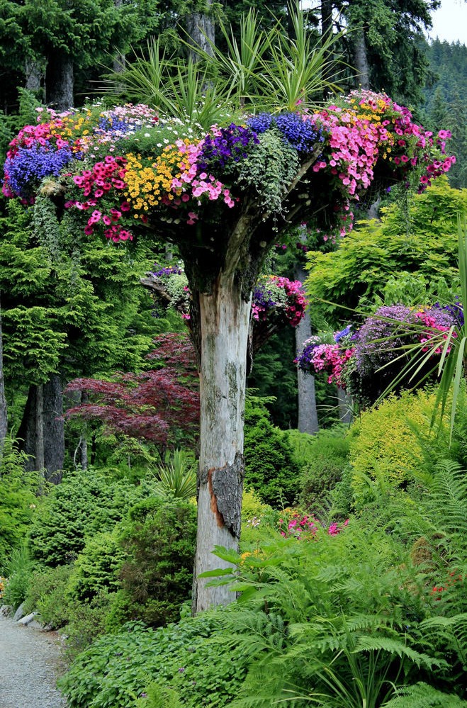 Glacier Gardens Rainforest Adventure | Vibrant Gardens | ALASKA.ORG